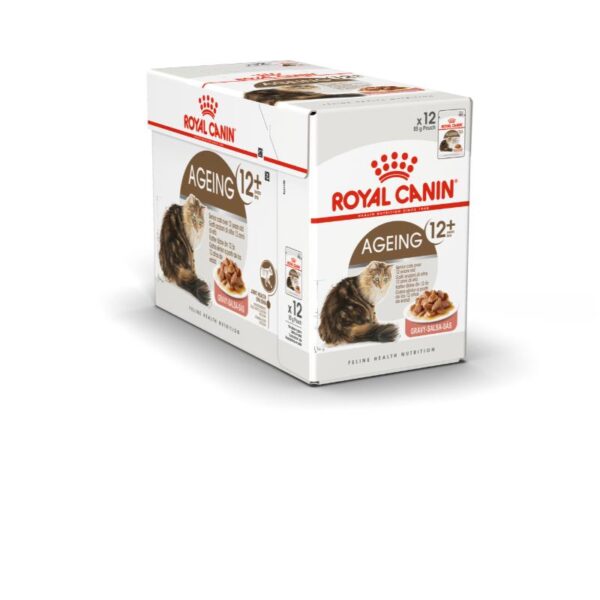 Royal Canin Ageing 12+ 12Pack