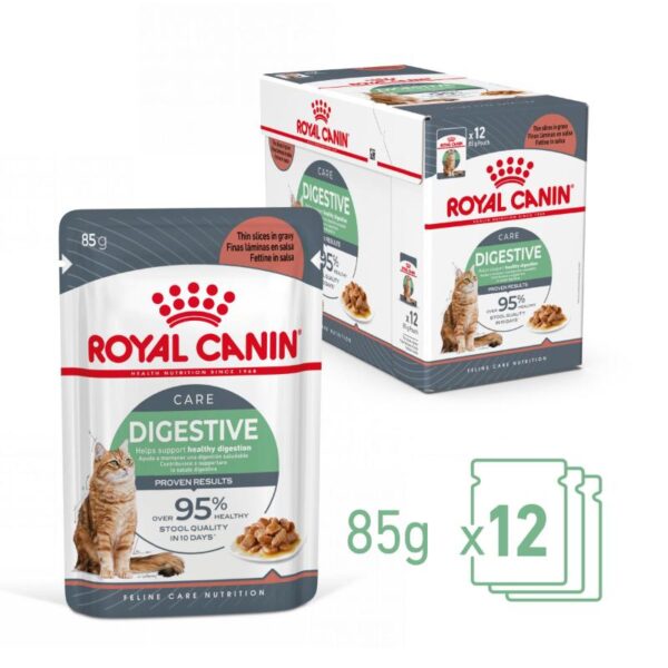 Royal Canin Digestive Care 12Pack