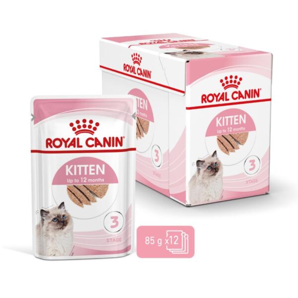 Royal Canin Kitten 12Pack